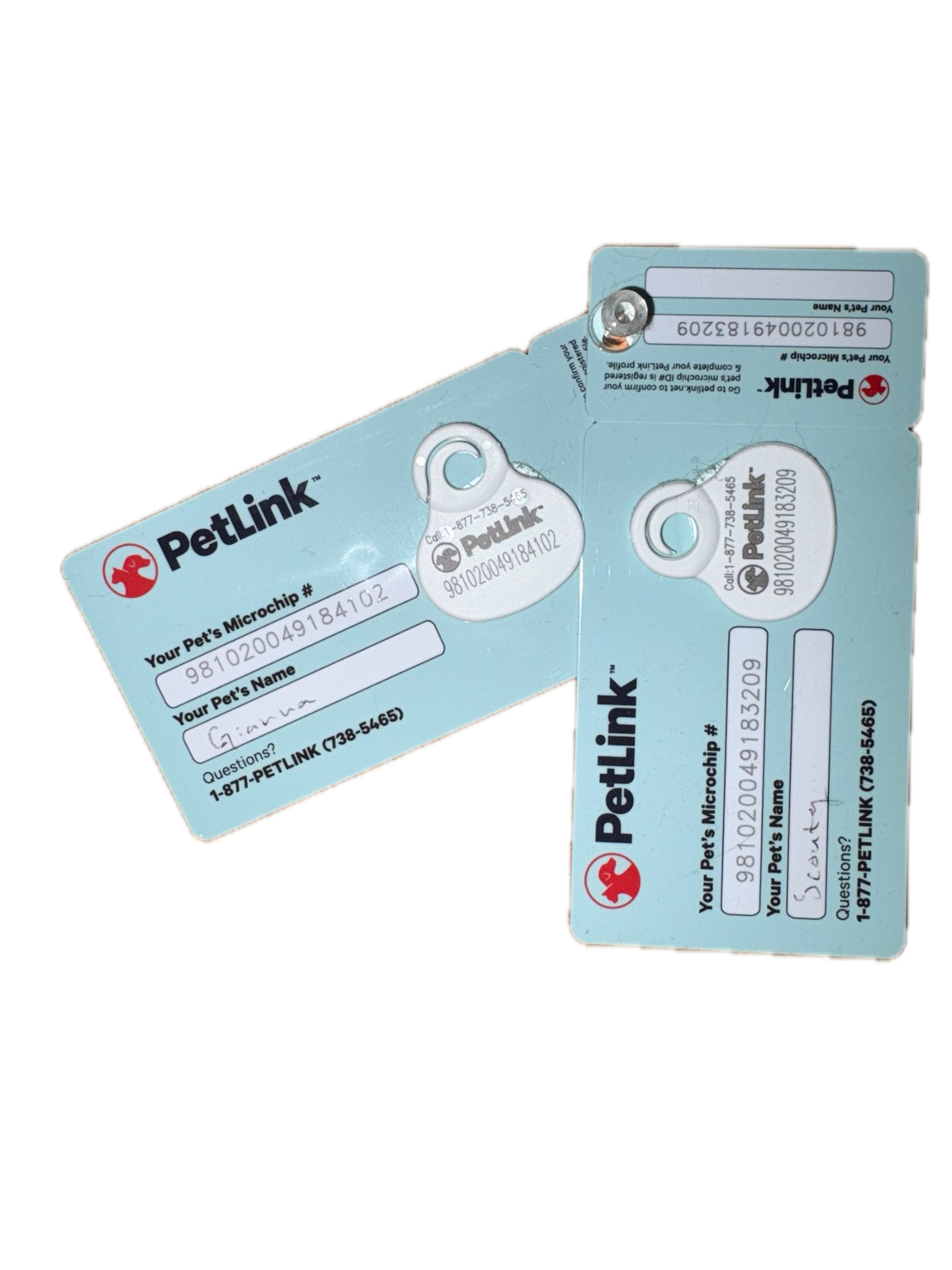 petlink cards and tags belonging to gianna and scouty