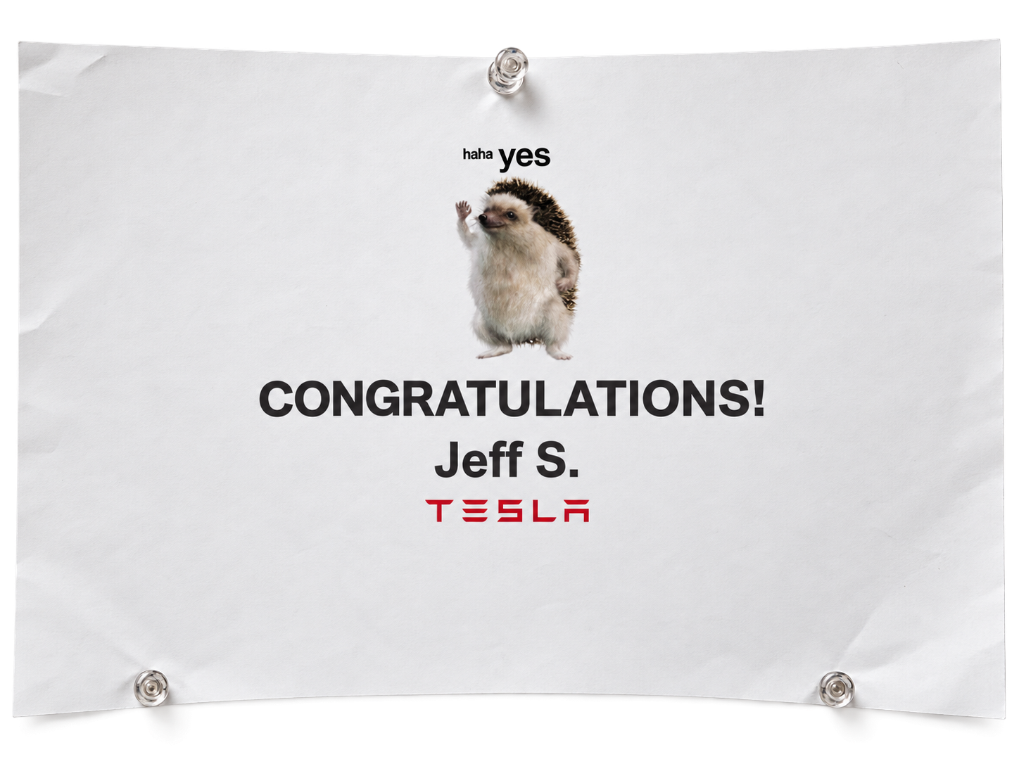 tesla congratulations sheet for jeff s. with a tiny waving hedgehog